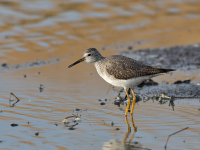 Pedreira Cabo da Praia